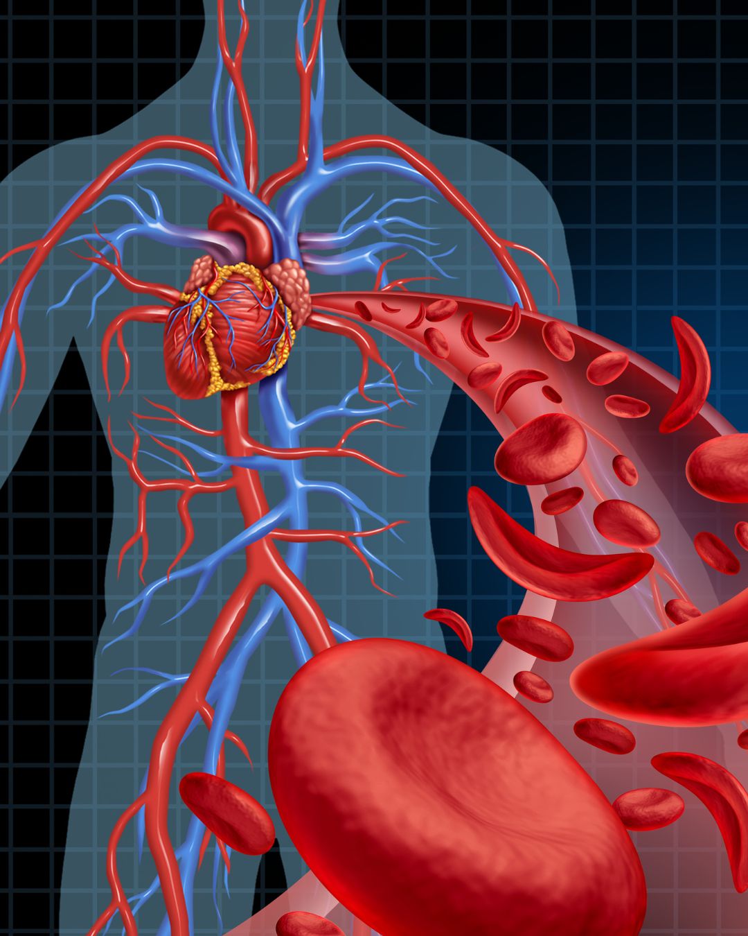 Anemia Test